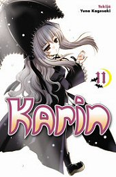 Kansi: Karin 11