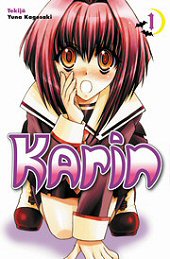 Kansi: Karin 1